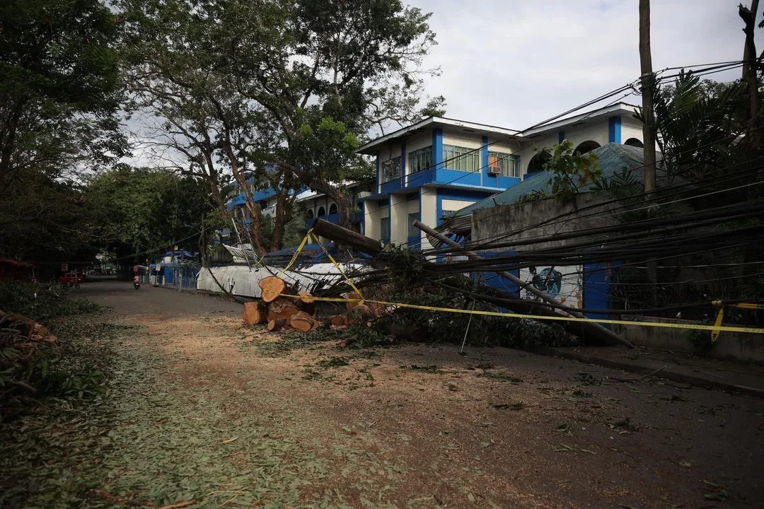 Fallen tree and downed power lines closing a street after a storm